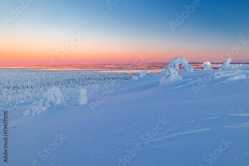 winter landscape with snow covered trees