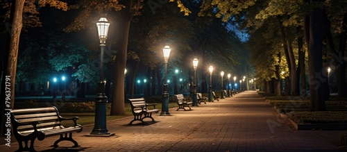 Park benches in a row on pathway at night