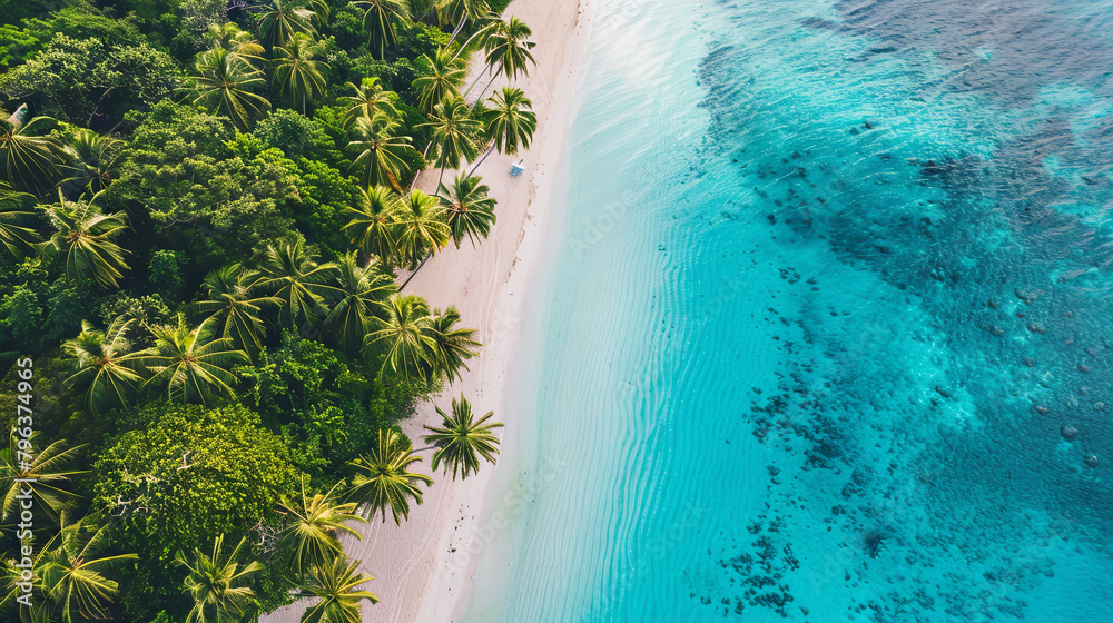Top-down view of a scenic beach background featuring tropical palm trees