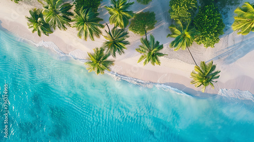 An aerial perspective showcasing the picturesque allure of a beach landscape embellished with tropical palm trees © Taisiia