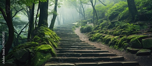 Stone path with moss in forest