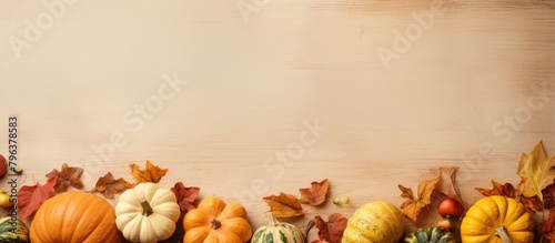 Different varieties of pumpkins and gourds displayed
