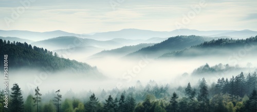 Mountain forest shrouded in fog with distant peaks © HN Works