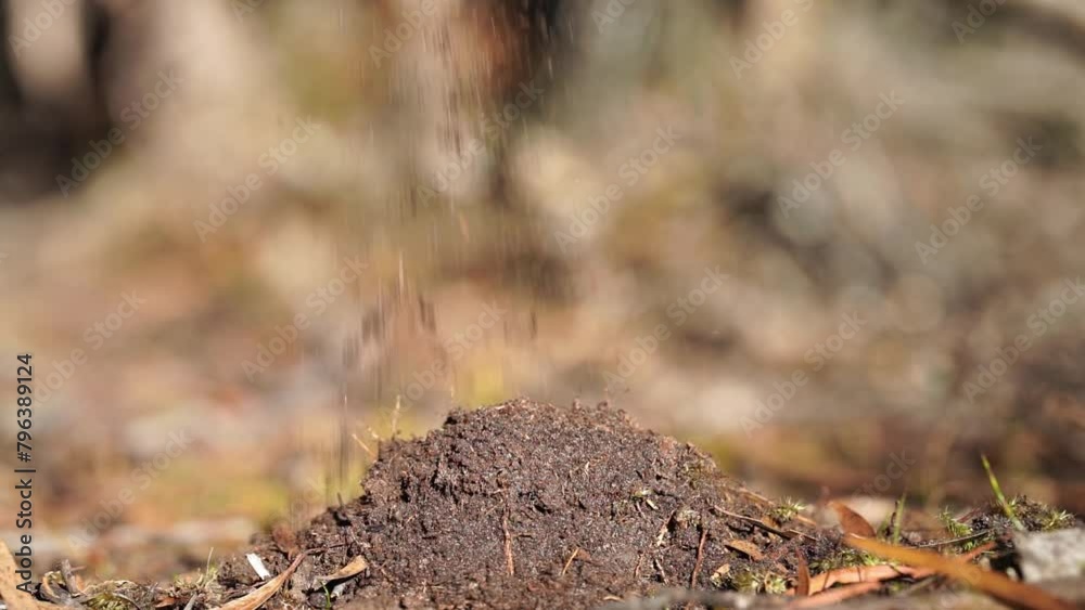 Holding soil in a hand, feeling compost in a field in Tasmania Australia. Holding soil in a hand, feeling compost in a field in Tasmania Australia.