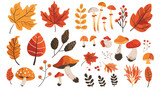 Autumn leaves set. Cute different leaves mushrooms be