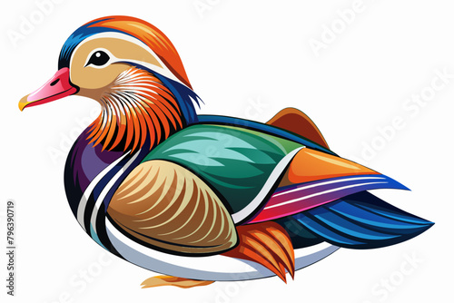 Mandarin duck vector with white background.