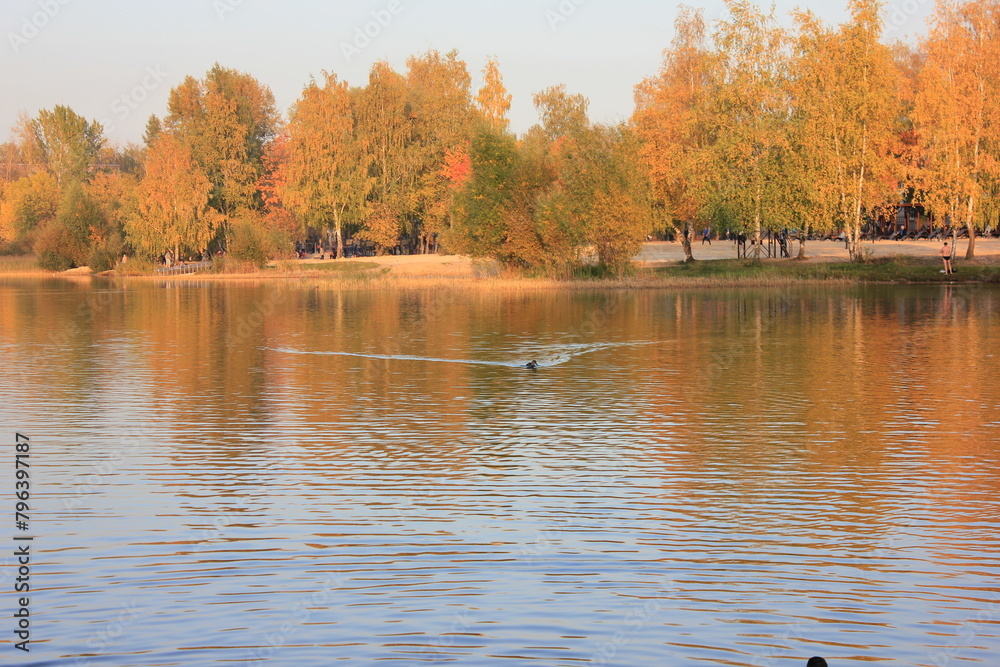 autumn in the park autumn in the park