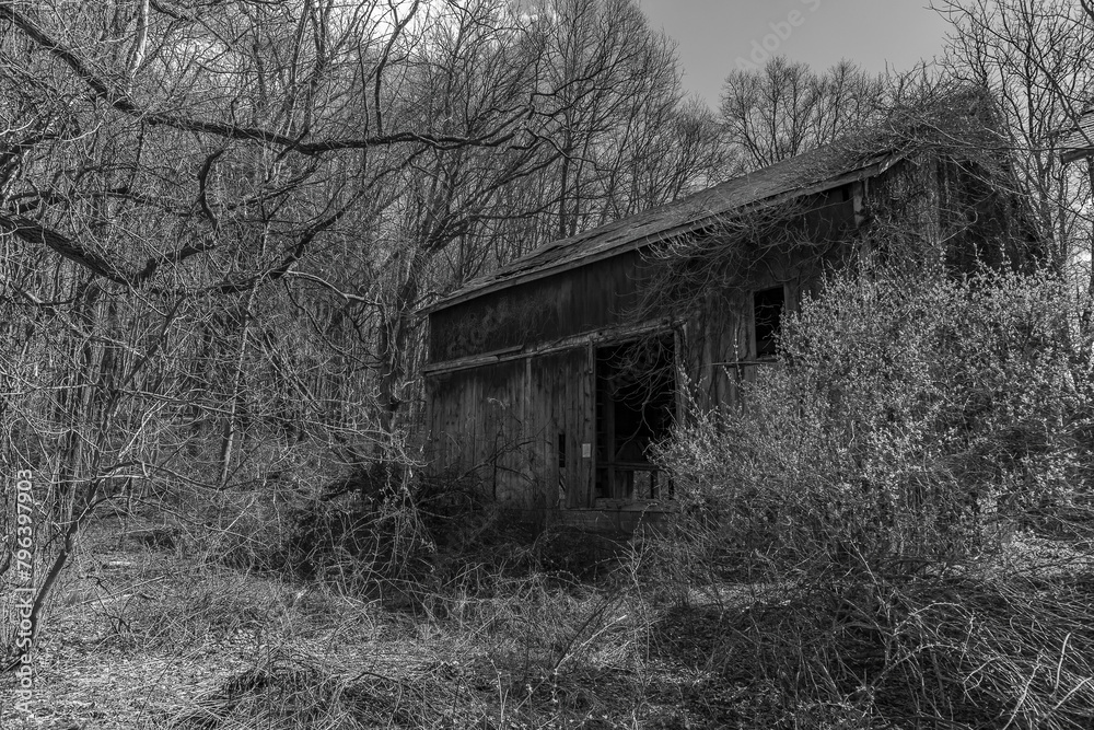Obraz premium Abandoned barn in the Delaware Water Gap National Recreation Area in black and white