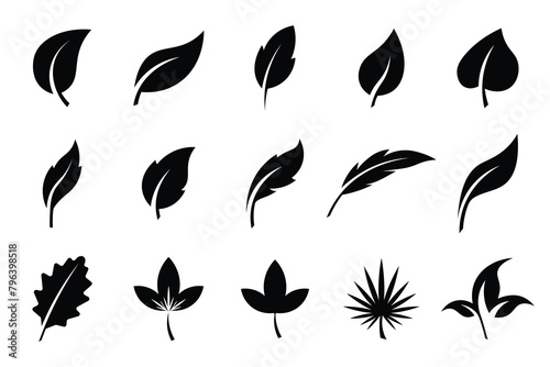 Leaf icons set .Leaves of trees and plants. Leaf silhouette. Leaf Collection. Leaf vector .Decoration elements design, eco, bio, vegan labels. Vector illustration. photo