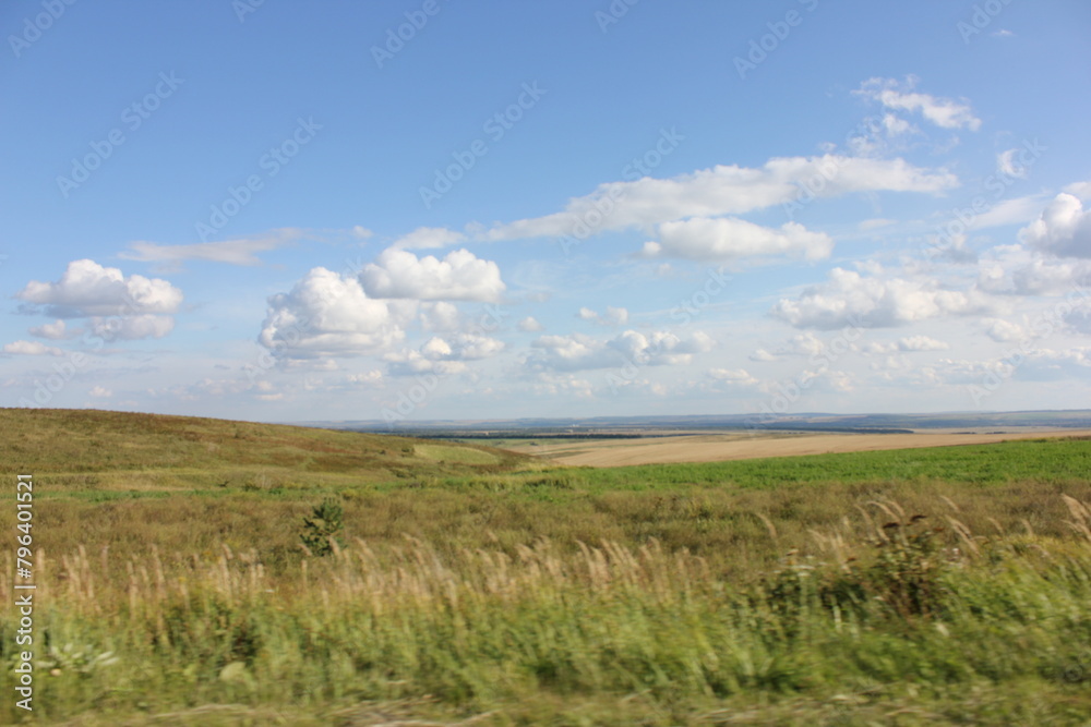 nature, summer, trees, sky, greens nature, summer, trees, sky, greens