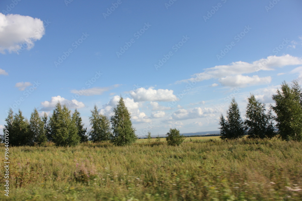 nature, summer, trees, sky, greens nature, summer, trees, sky, greens