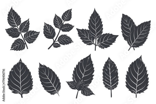 A set of black leaves on a white background. Suitable for various design projects