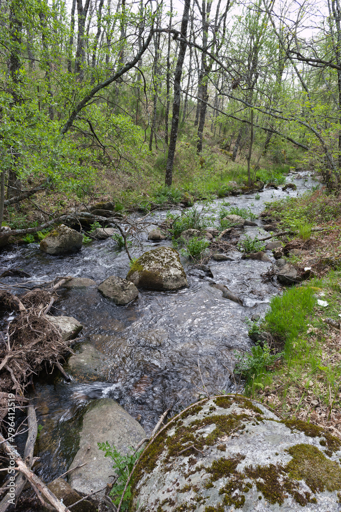 view of a mountain stream in spring in the sierra de guadarrama mountains view of a mountain stream in spring in the sierra de guadarrama mountains