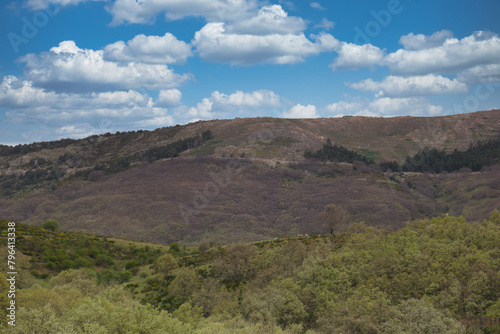 landscape, view, mountains, nature, outdoors, mountain, wildlife