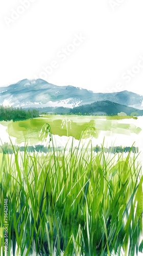 Illustration of rice field grassland landscape outdoors.