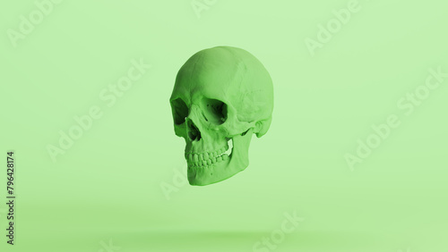 Human skull green mint soft tones anatomical cranium Halloween horror background quarter left side 3d illustration render digital rendering 