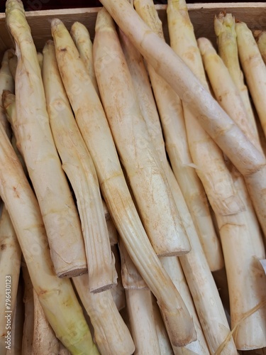 Asperges fraîches 