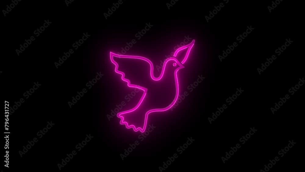 Dove icon glowing neon pink color animation black background Dove icon glowing neon pink color animation black background