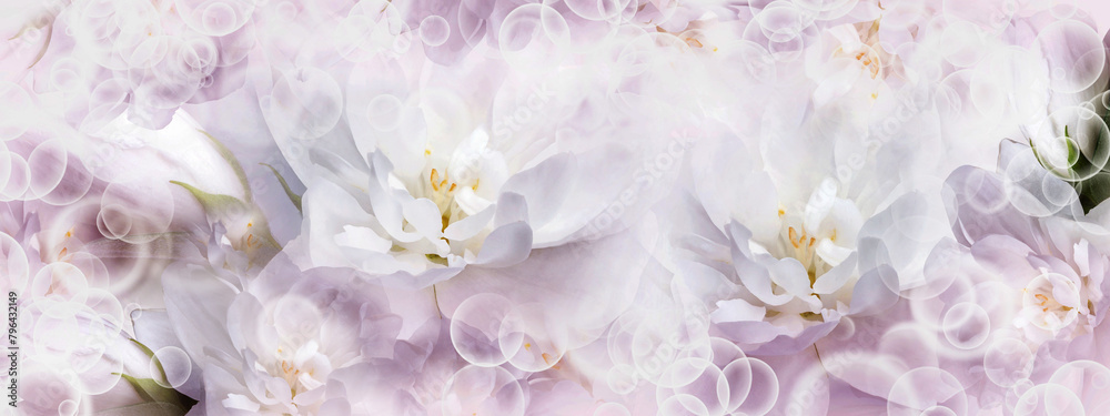 Jasmine white flowers. Floral spring background. Close-up. Nature. Jasmine white flowers. Floral spring background. Close-up. Nature.