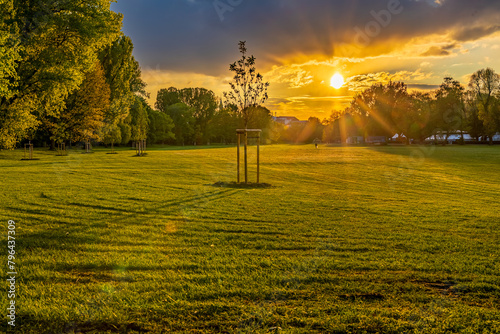 Foto Grüne Oase in der Innenstadt -  In diesem Jahr wurden zahlreiche jungen Bäume auf der Wiese gepflanzt um dem Baumsterben des alten Baumbestandes entgegenzuwirken