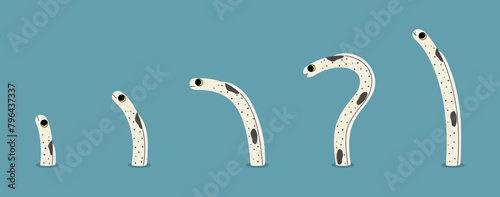 Spotted garden eel 1 cute on a blue background, vector illustration.