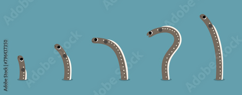 Spaghetti garden eel cute on a blue background, vector illustration.