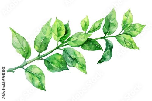 Watercolor painting of a branch with green leaves, perfect for nature-themed designs