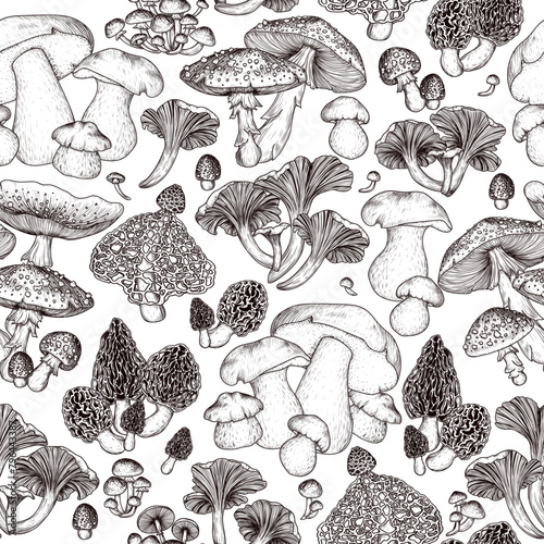 Seamless vector pattern of forest mushrooms.  Chanterelles, porcini mushroom, honey mushrooms, fly agaric, morel, bamboo mushroom photo
