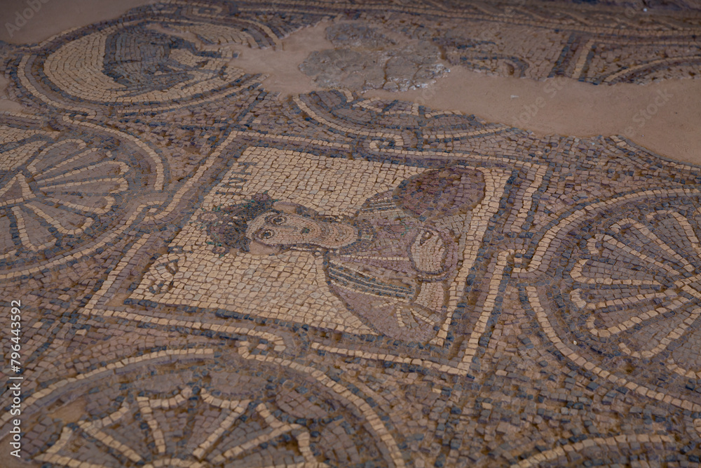 A moisaic detail in the Byzantine Church in the archeological site of PeA moisaic detail in the Byzantine Church in the archeological site of Petra in Jordantra in Jordan