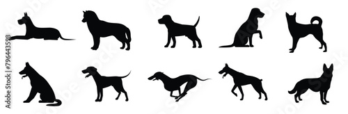  Set of silhouettes of different breeds of dogs. Vector illustration. photo
