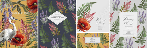 Plants, flowers and bird. Vector classic illustration of poppy, crane, lavender, fern, leaf and wild flower for floral background, pattern or wedding invitation	

