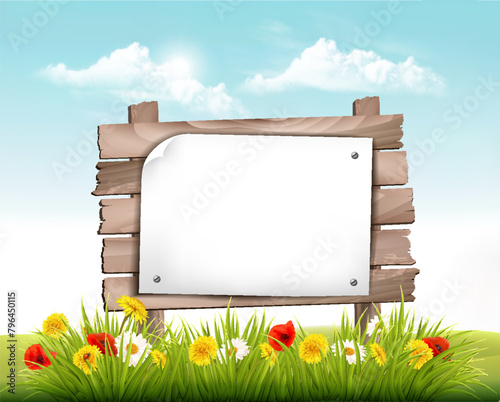 Spring nature landscape background with daisy, poppies, dandelon flowers and wooden sign. Vector.