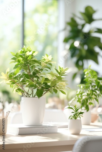 b Indoor plants bring life to a home office 