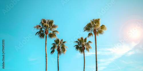 Palm trees against a blue sky background