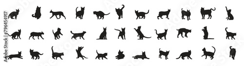 Cats silhouettes. cats set silhouette isolated vector. Cats collection - Vector silhouette