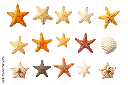 Dance of the Starfish: A Seashell Symphony. On a White or Clear Surface PNG Transparent Background.