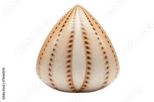 Elegance in Simplicity: A Brown and White Vase on a Table. On a White or Clear Surface PNG Transparent Background.
