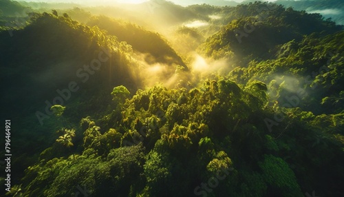 misty jungle rainforest from above in the morning tropical forest with sun rays and fog aerial view nature landscape wallpaper background