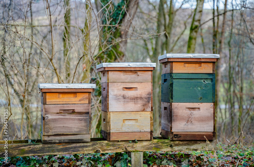 Traditional apiary in the forest. Raws of wooden, colorful bee hives. Beehive in bee-garden. Nest of any bee colony, hexagonal prismatic cells made of beeswax, called honeycomb. Honey production. © creativeneko