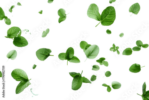 Dancing Leaves: A Whimsical Ballet in the Air. On a White or Clear Surface PNG Transparent Background.