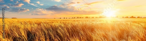 Meteorological data is integral to the agriculture sector, where farmers rely on accurate weather forecasts to determine the best times for planting and harvesting crops