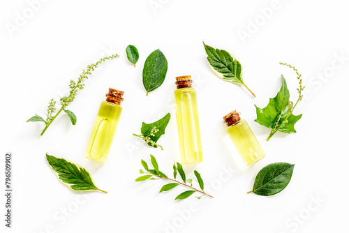 Herbal extract or essential oil for treatment. Bottles and fresh herbs, top view