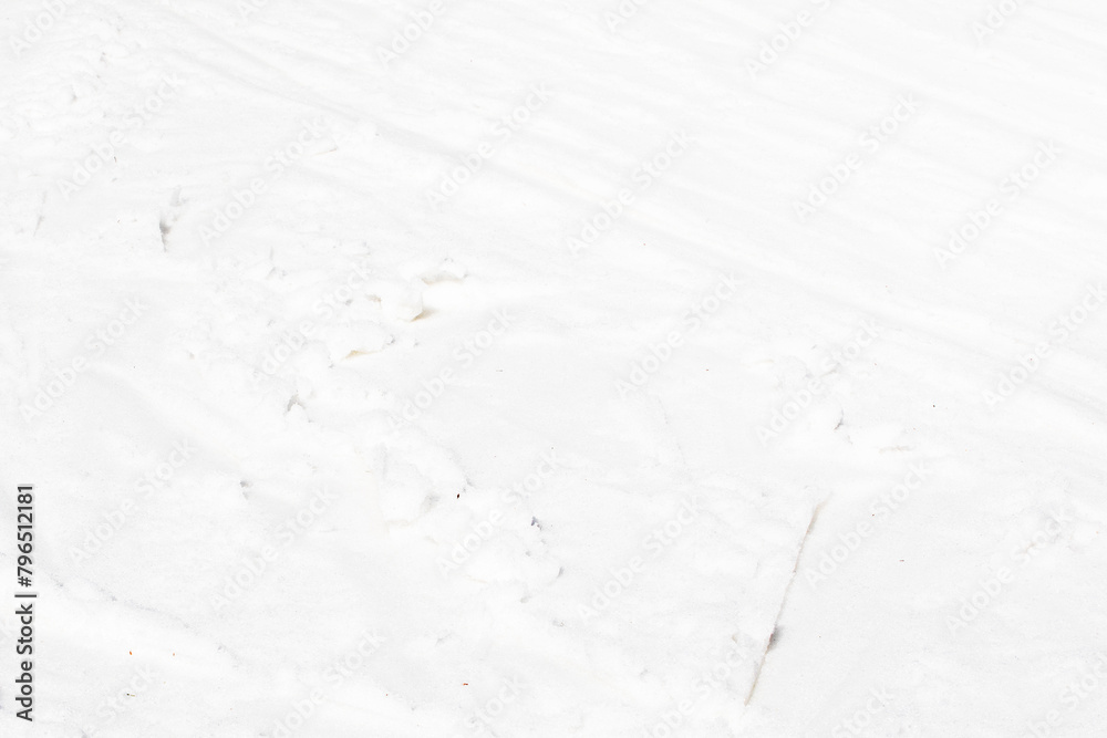 abstract background of white snow on a sunny day abstract background of white snow on a sunny day