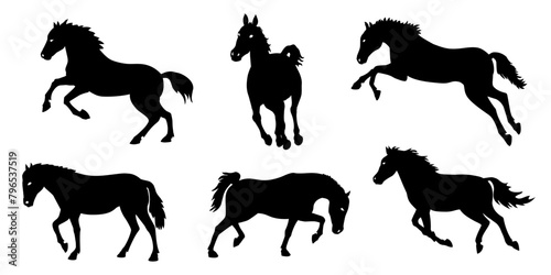 horse silhouettes on the white background volume 3
