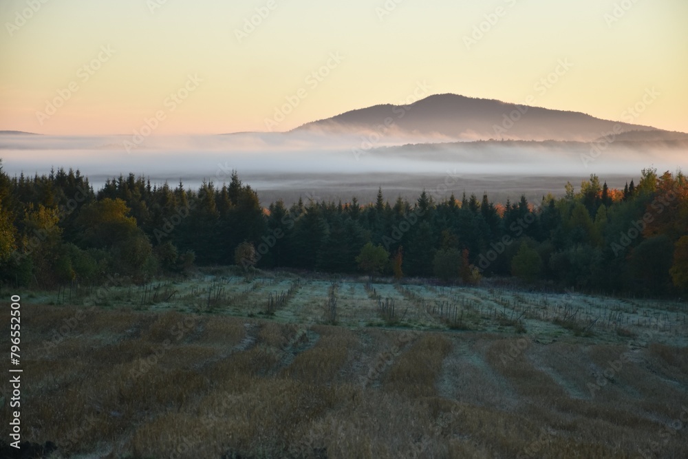 A fog on an autumn morning, Sainte-Apolline, Québec, Canada