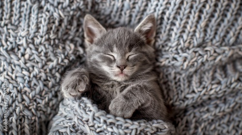 Cute little gray kitten is sleeping in a gray soft blanket