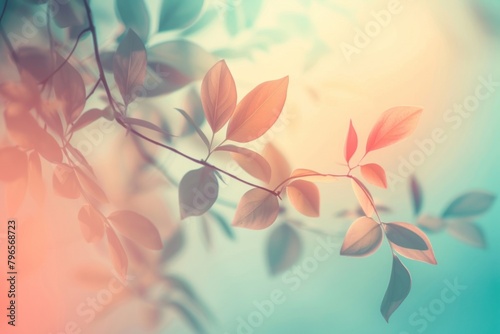 Botanical gradient background backgrounds outdoors nature photo