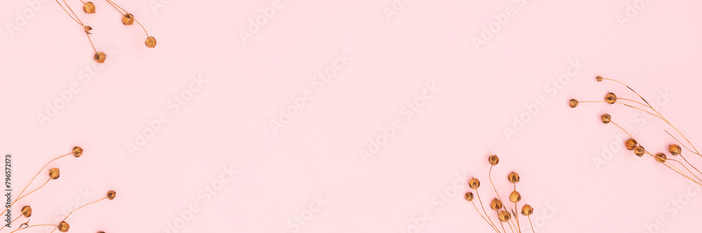 Fototapeta premium Banner with dried flax flowers branches on a pink background. Selective focus.