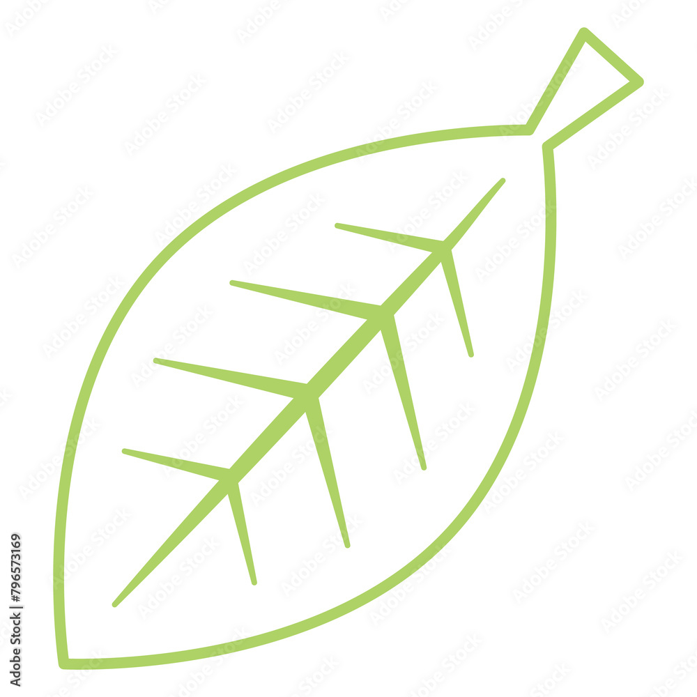 Obraz premium leaf 