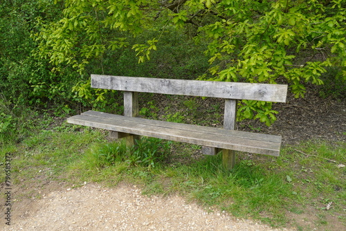 wooden park bench surrounded by greenery. empty bench seat in woodland area